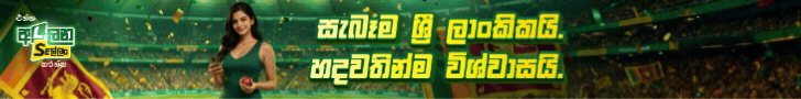 site-wide-banner