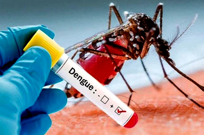 Dengue Cases Rise in Sri Lanka ඩෙංගු යළි හිස ඔසවයි