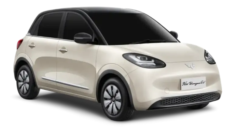 Wuling Binguo EV